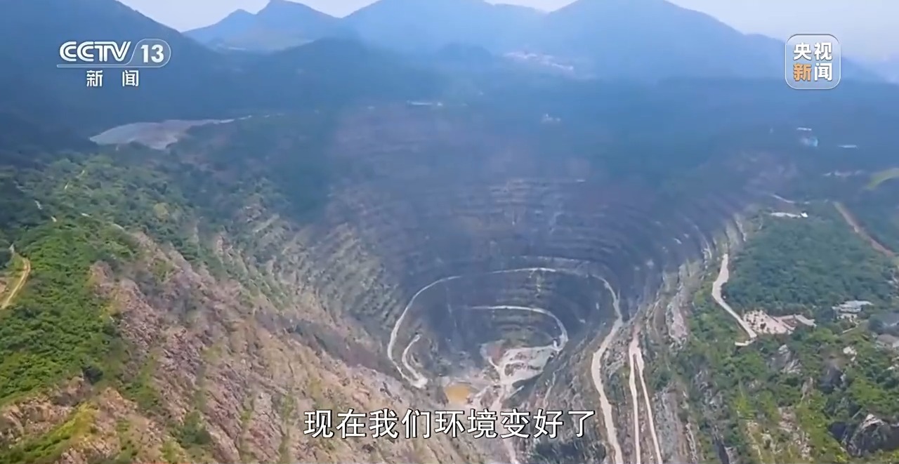 石缝种植植物,石缝种树