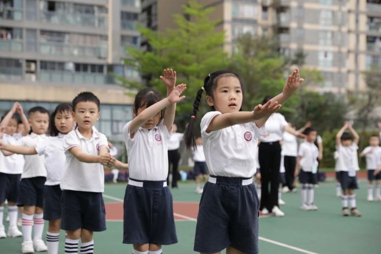 探秘小学幼小衔接,探秘小学大班