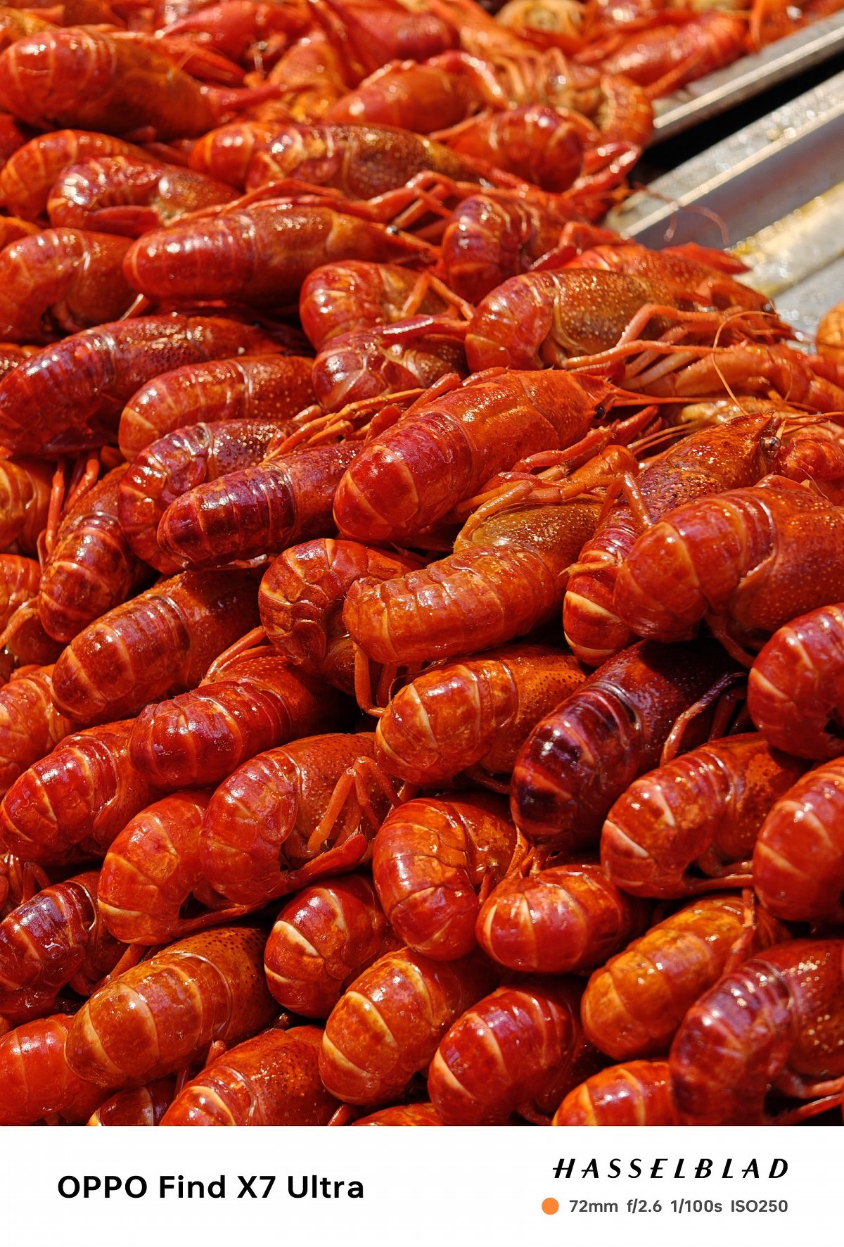 oppofindx7ultra官方样张,oppofindx7ultra双潜望实拍样张