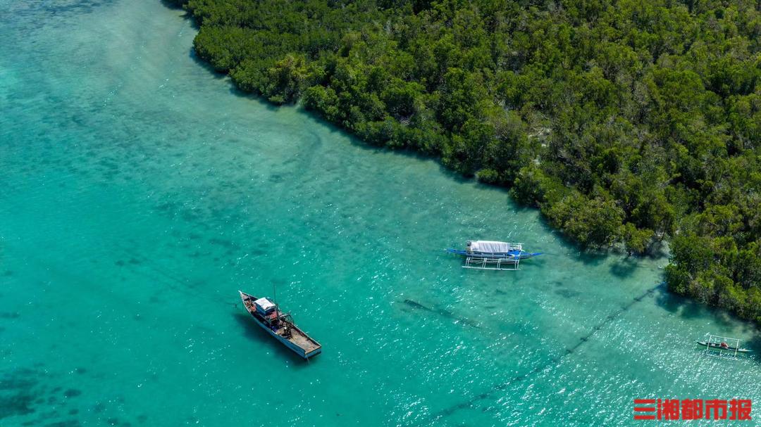 长沙飞海口特价机票多少钱,长沙飞海口最便宜的航班