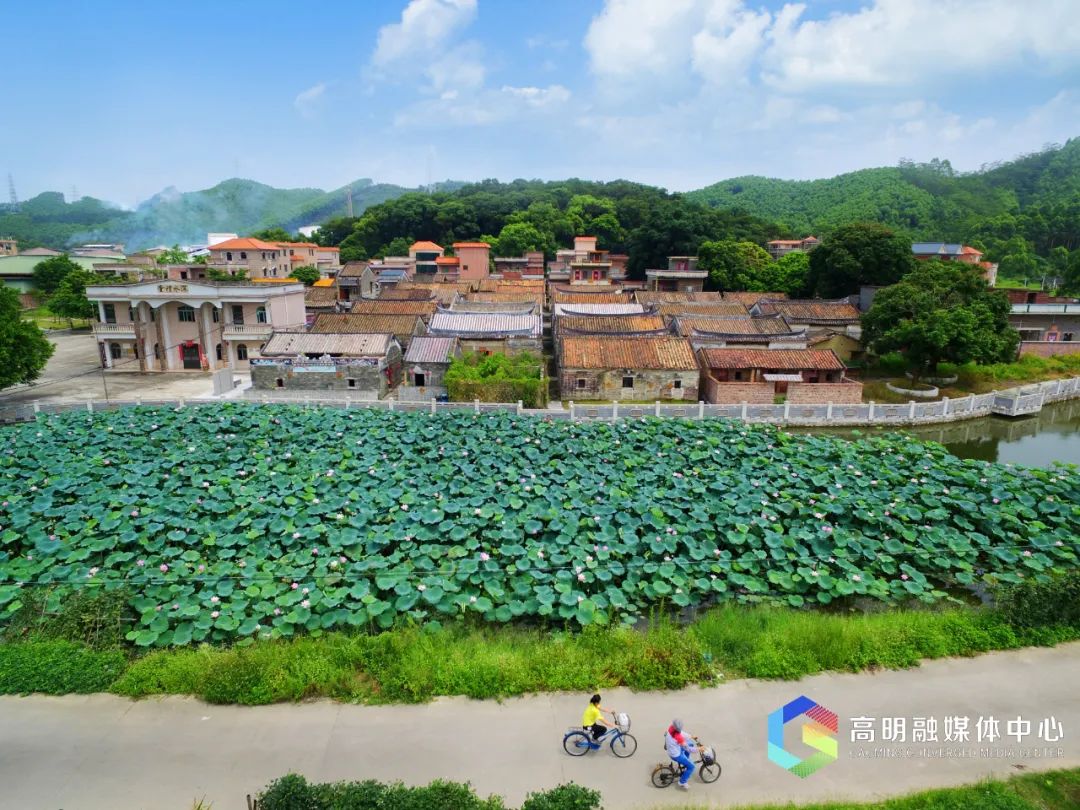 佛山最值得逛的古村,佛山有没有好玩的乡村古镇